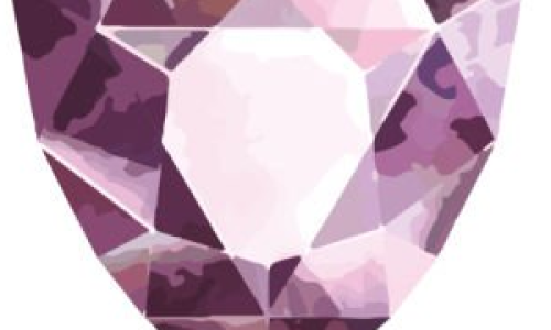 test_rose